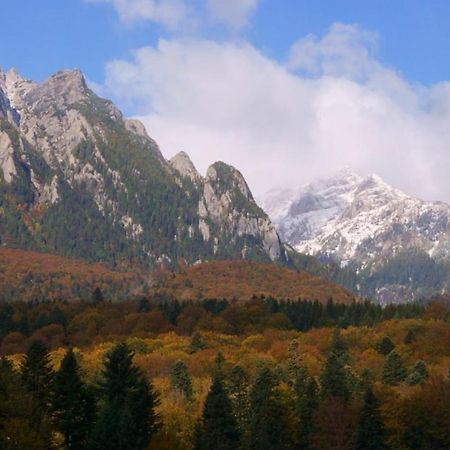 Pensiunea Luna Buşteni Dış mekan fotoğraf