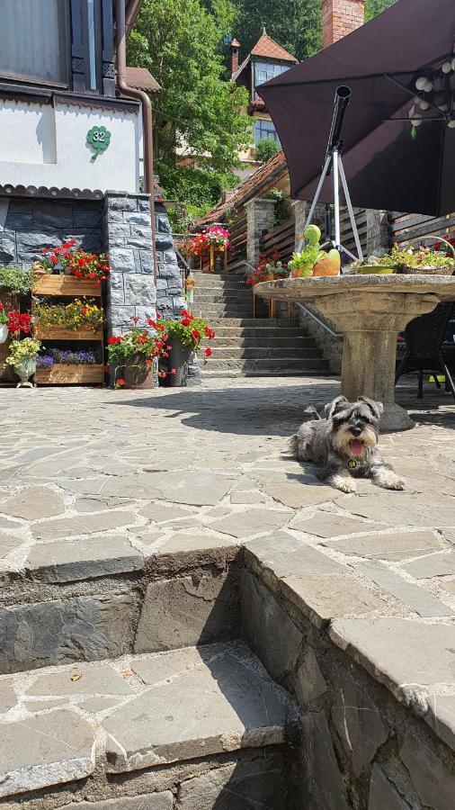 Pensiunea Luna Buşteni Dış mekan fotoğraf