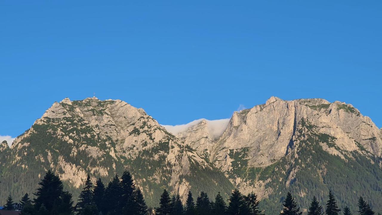Pensiunea Luna Buşteni Dış mekan fotoğraf