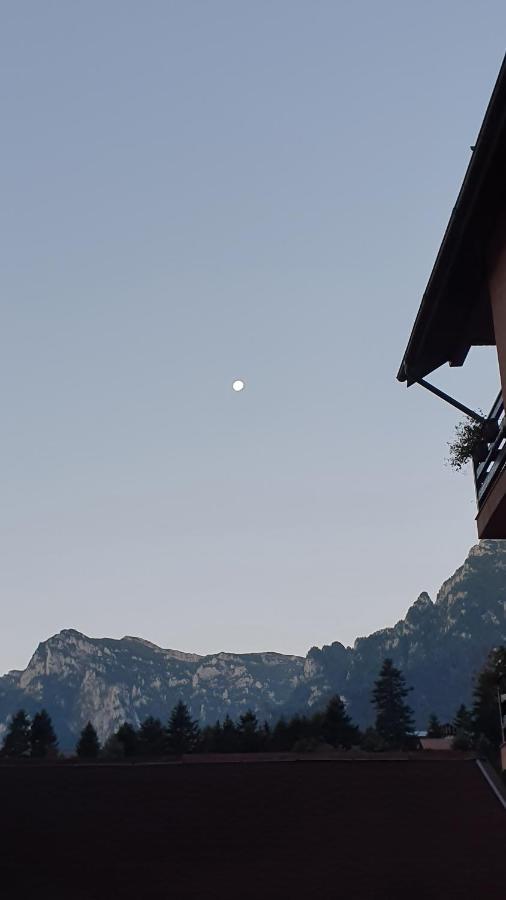 Pensiunea Luna Buşteni Dış mekan fotoğraf
