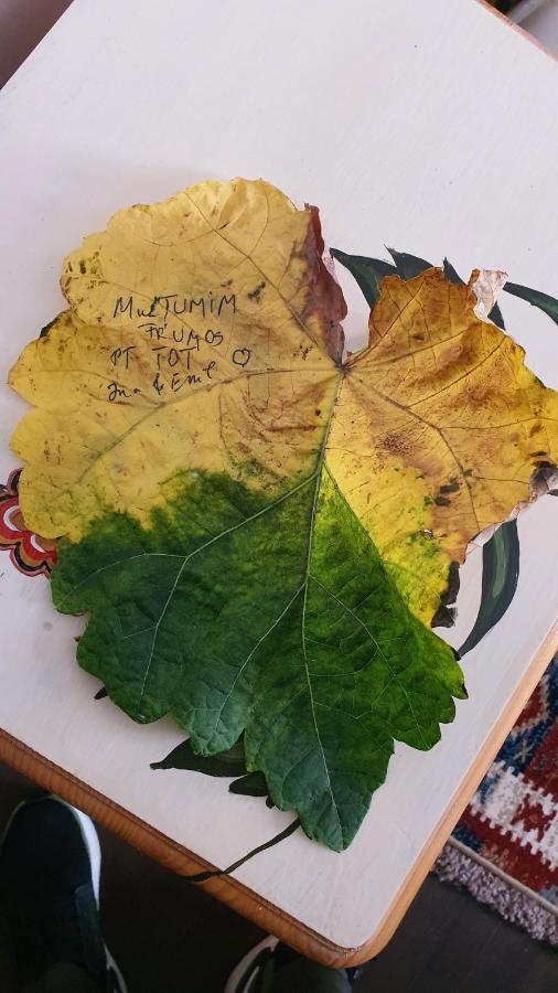 Pensiunea Luna Buşteni Dış mekan fotoğraf